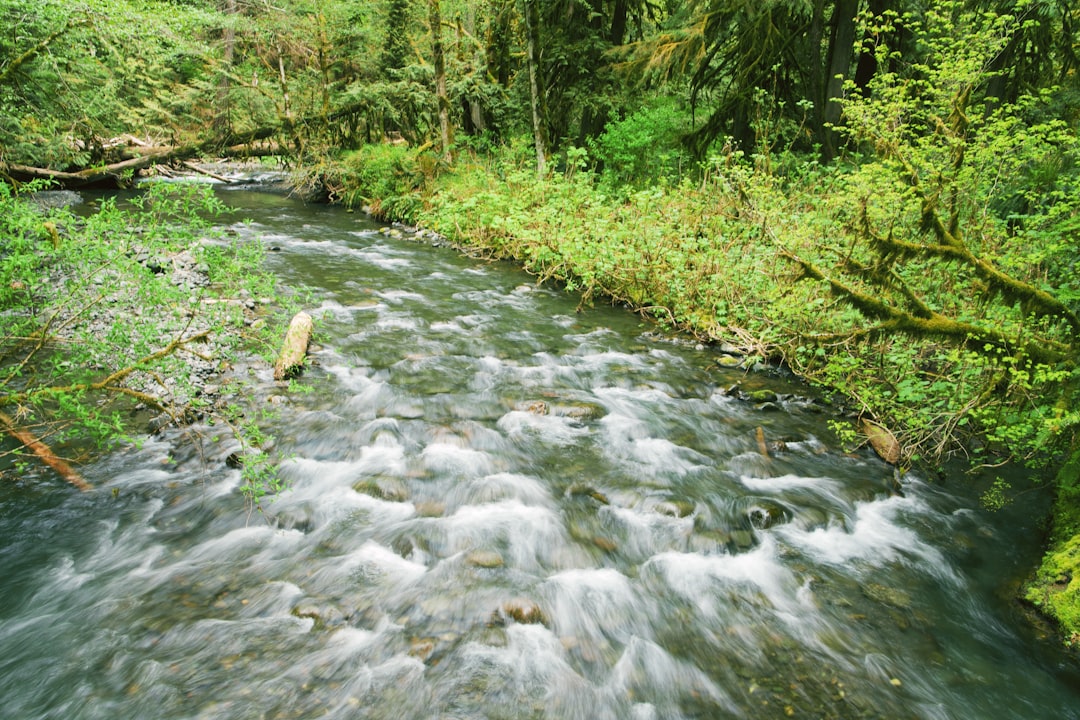 The Unexpected Joys of Exploring the Great Outdoors on a Budget