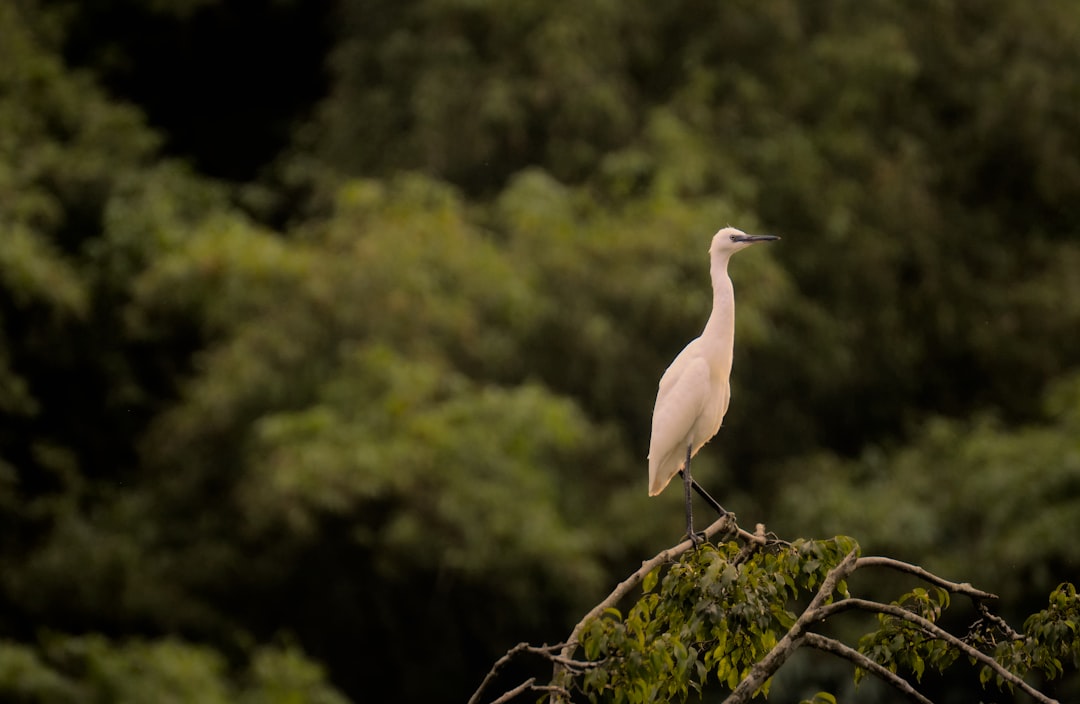 Eco-Friendly Travel: Your Guide to Sustainable Adventures